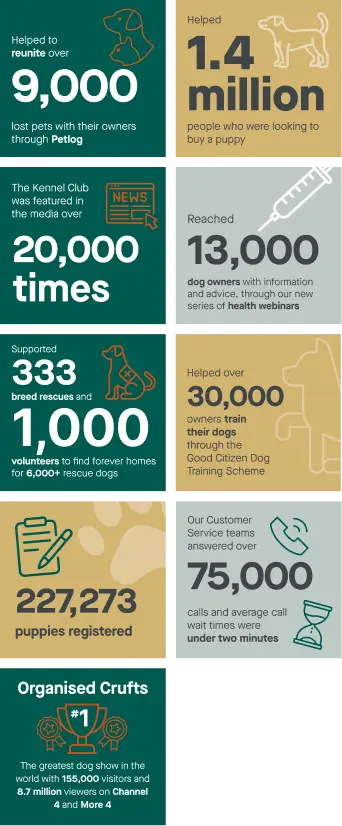 Annual report statistics