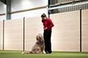 Rachel Oates demonstrating obedience training with a medium shaggy light-brown dog.